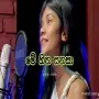 ​මේ හිත සනසා (Me Hitha Sanasa) - Aesthetic Lo-fi Female Cover 